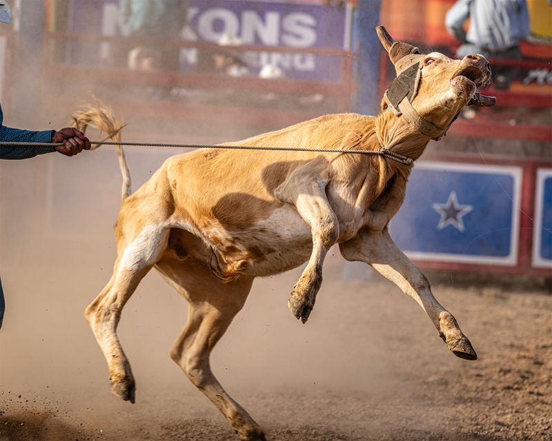 © Karoliina Kase - Image from the Dust and Dominion photography project