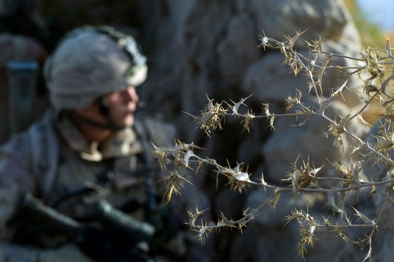 © Louie Palu - Image from the The Fighting Season photography project