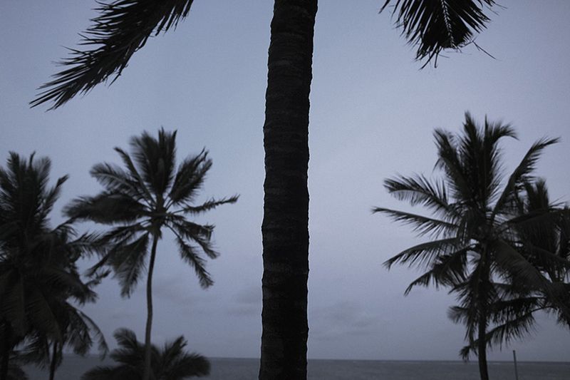 © Sofie Amalie Klougart - The view from Renates window.