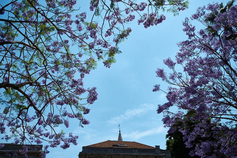 © Marc Van Lierde - Messina, Sicily, 2023