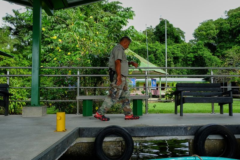© Marc Van Lierde - Tortuguero, Costa Rica, 2018