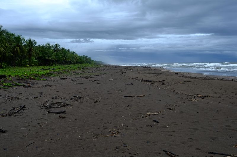 © Marc Van Lierde - Tortuguero, Costa Rica, 2018