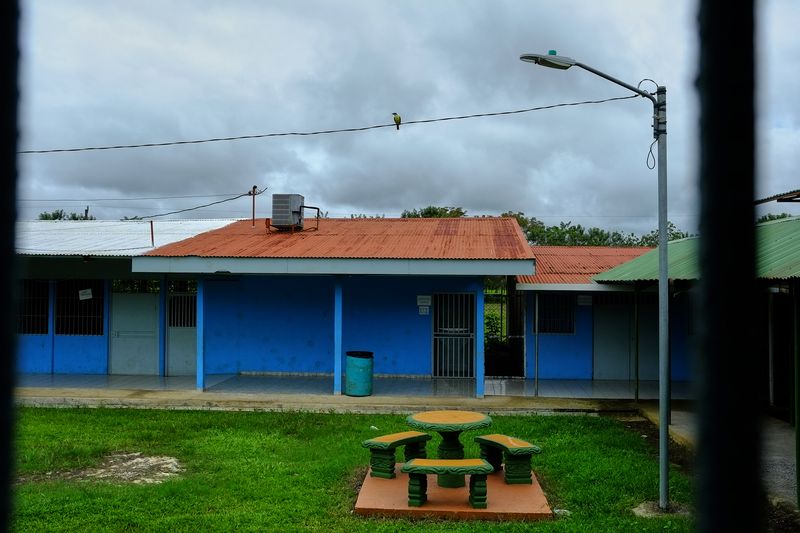 © Marc Van Lierde - Tortuguero, Costa Rica, 2018