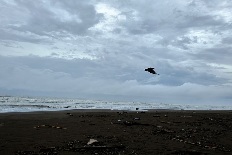 © Marc Van Lierde - Tortuguero, Costa Rica, 2018