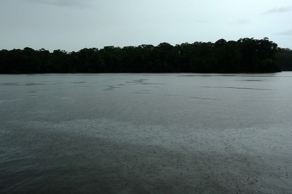 © Marc Van Lierde - Tortuguero, Costa Rica, 2018