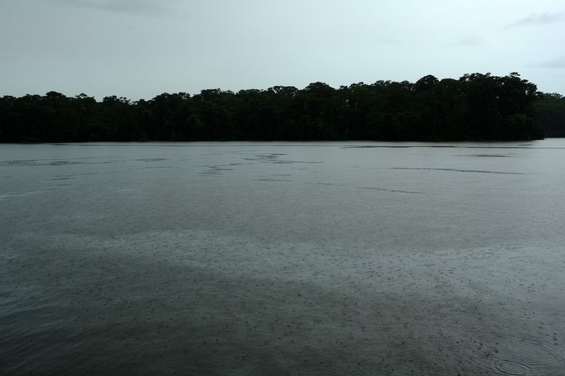 © Marc Van Lierde - Tortuguero, Costa Rica, 2018