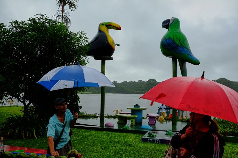 © Marc Van Lierde - Tortuguero, Costa Rica, 2018