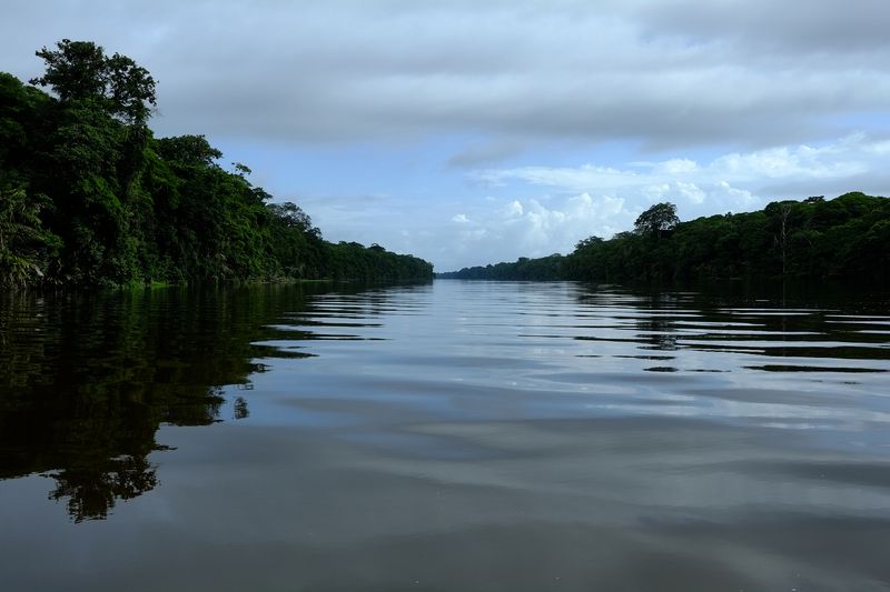 © Marc Van Lierde - Tortuguero, Costa Rica, 2018