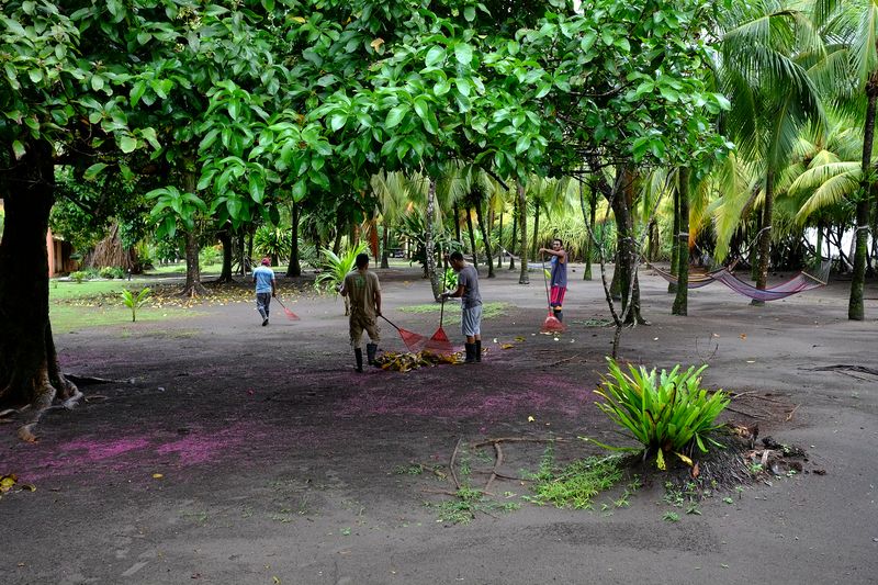 © Marc Van Lierde - Tortuguero, Costa Rica, 2018