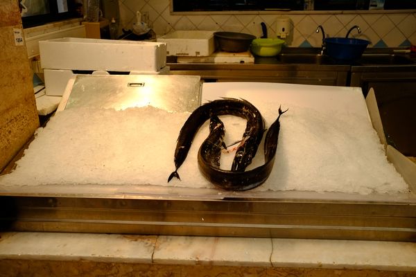 © Marc Van Lierde - Lisbon, Portugal, 2019