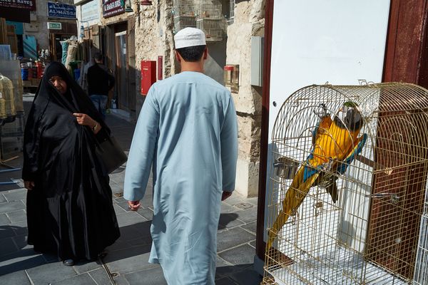 © Marc Van Lierde - Doha, Qatar, 2024