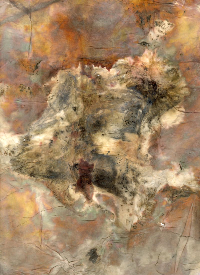 © sophiechalk - Ghost of A Plant VII Unique contact botanical print on silk with silver nitrate. 8x10" (2021)