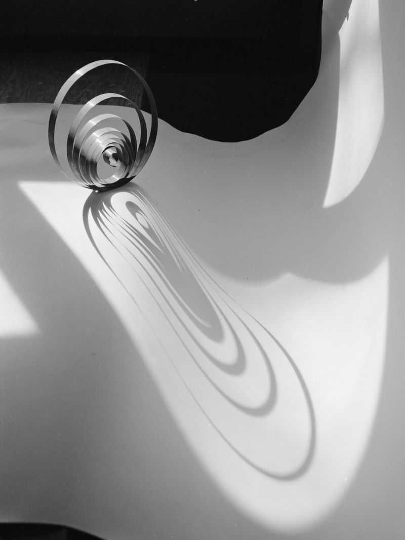 © Terry A. Ratzlaff - Time, Barthes wrote, is like a spiral; "things recur but on another level, nothing is first, but everything is new."