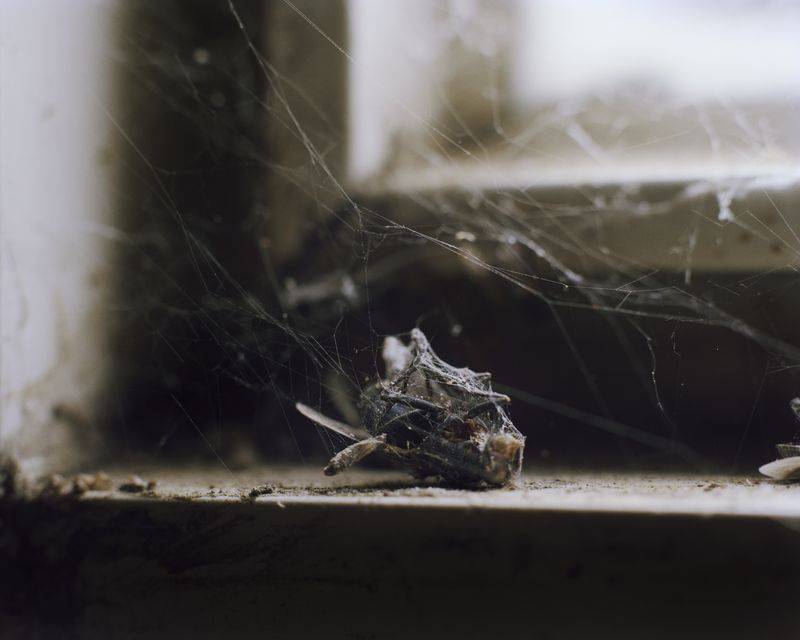 © Terry A. Ratzlaff - Image from the The Marches photography project