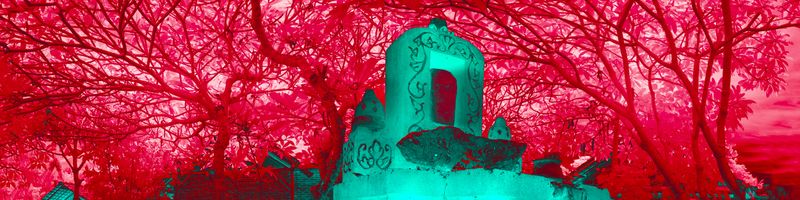 © Marc Aziz Ressang - Image from the Ayam Cemani (Black Chicken) photography project