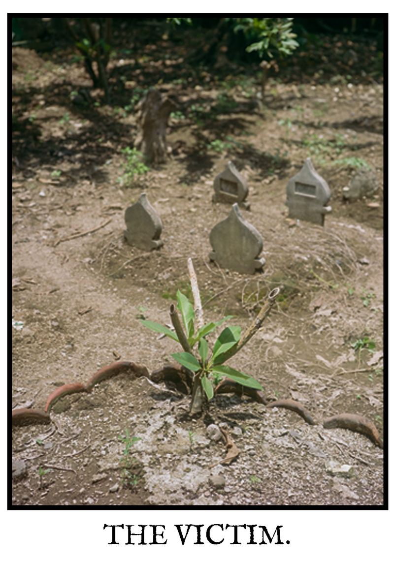 © Marc Aziz Ressang - Image from the Ayam Cemani (Black Chicken) photography project