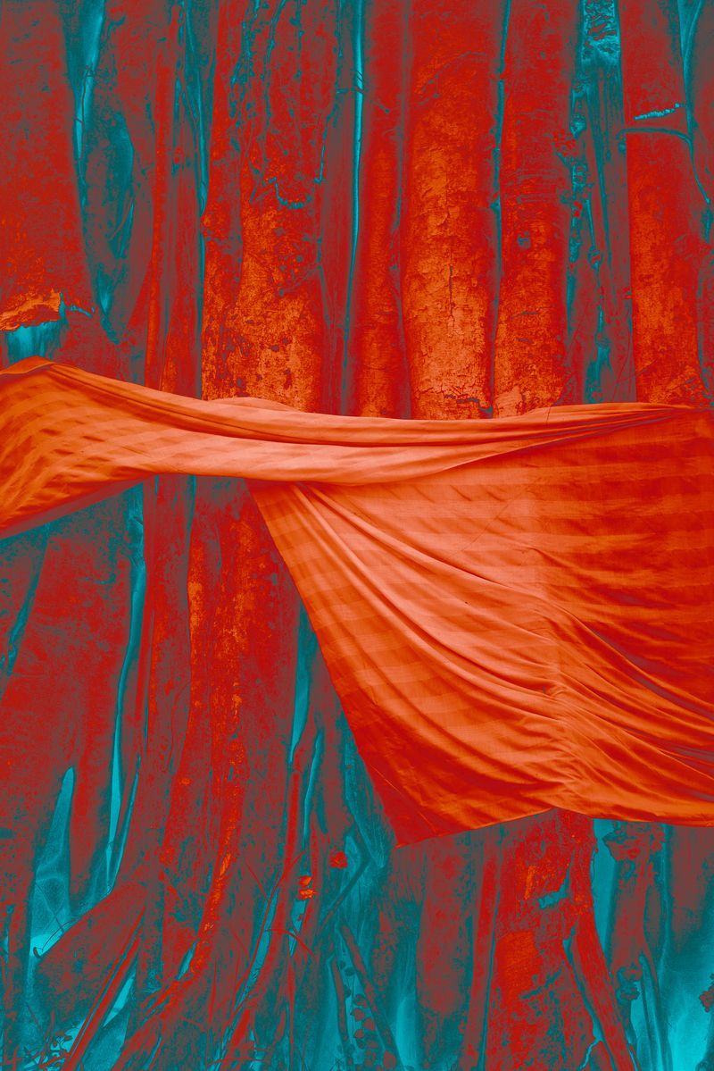 © Marc Aziz Ressang - Image from the Ayam Cemani (Black Chicken) photography project