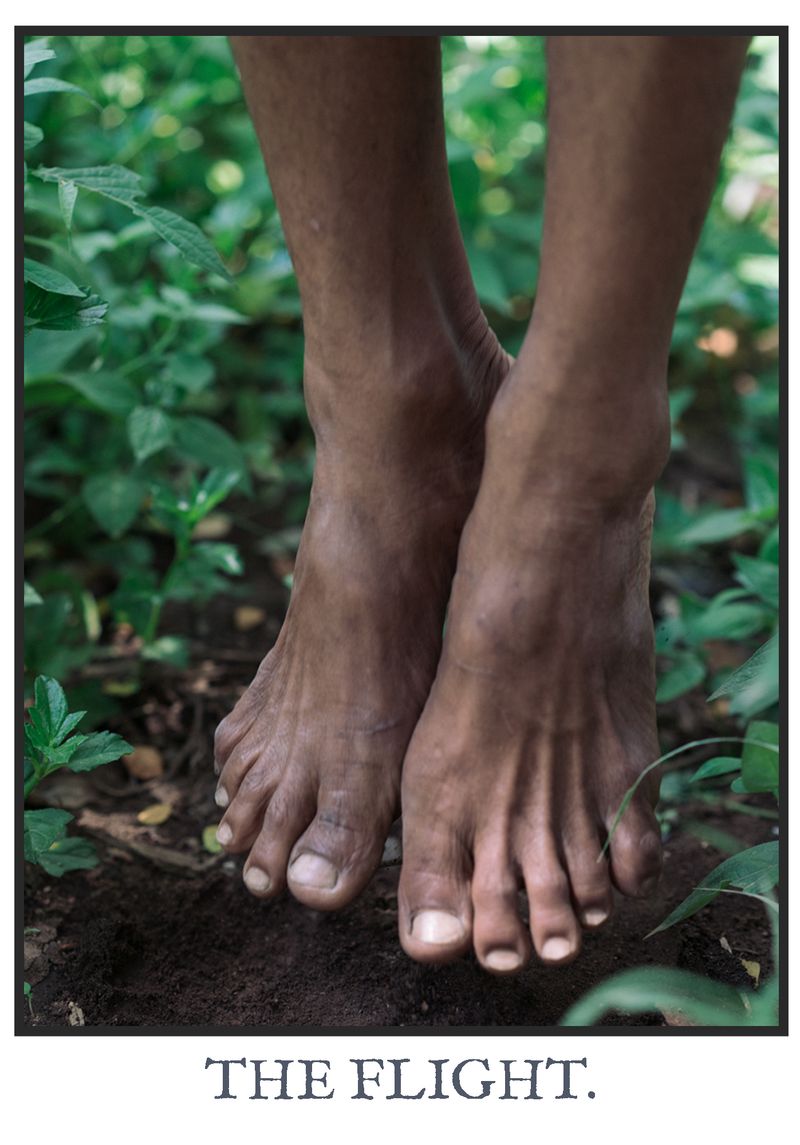 © Marc Aziz Ressang - Image from the Ayam Cemani (Black Chicken) photography project