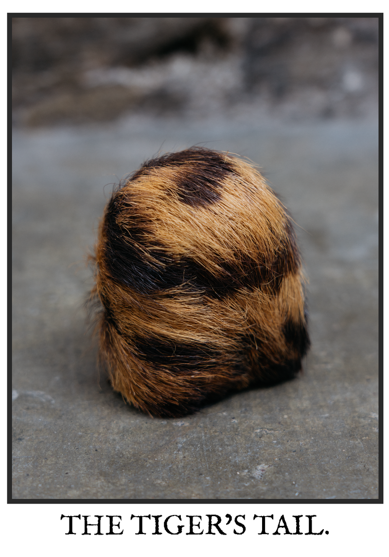 © Marc Aziz Ressang - Image from the Ayam Cemani (Black Chicken) photography project