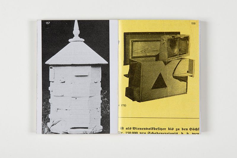 © Aladin Borioli - Image from the Apian photography project