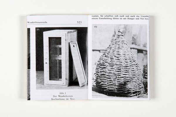 © Aladin Borioli - Image from the Apian photography project