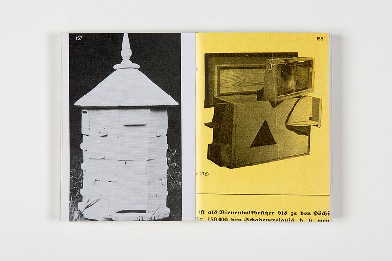 © Aladin Borioli - Image from the Apian photography project