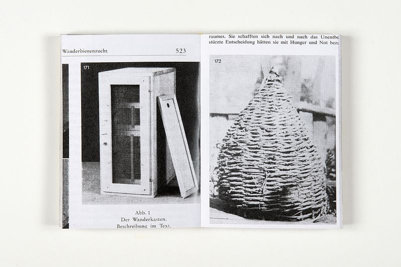 © Aladin Borioli - Image from the Apian photography project