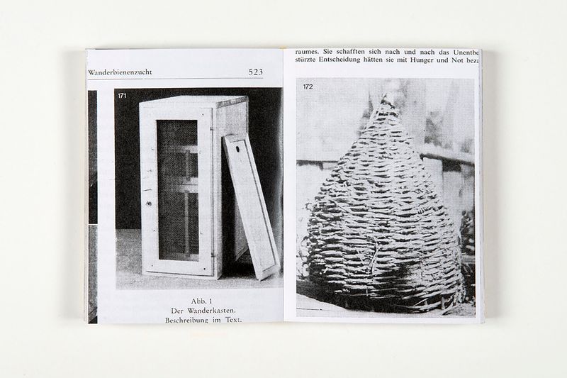 © Aladin Borioli - Image from the Apian photography project