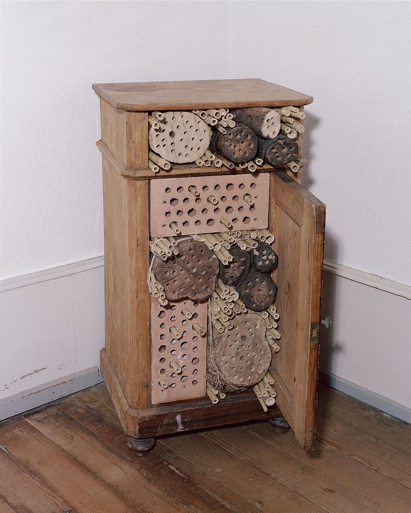 © Aladin Borioli - Image from the Apian photography project