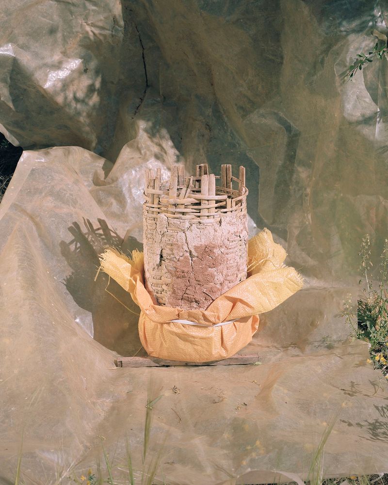 © Aladin Borioli - Image from the Apian photography project