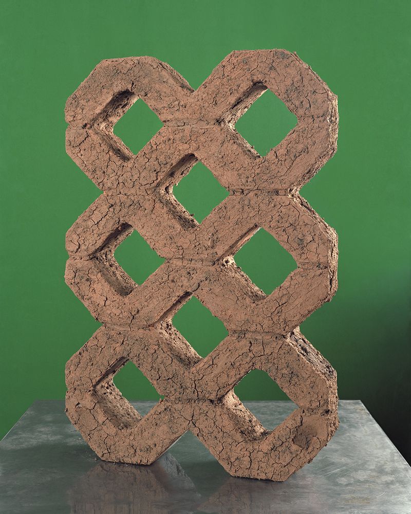 © Aladin Borioli - Image from the Apian photography project