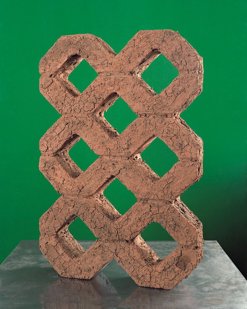 © Aladin Borioli - Image from the Apian photography project