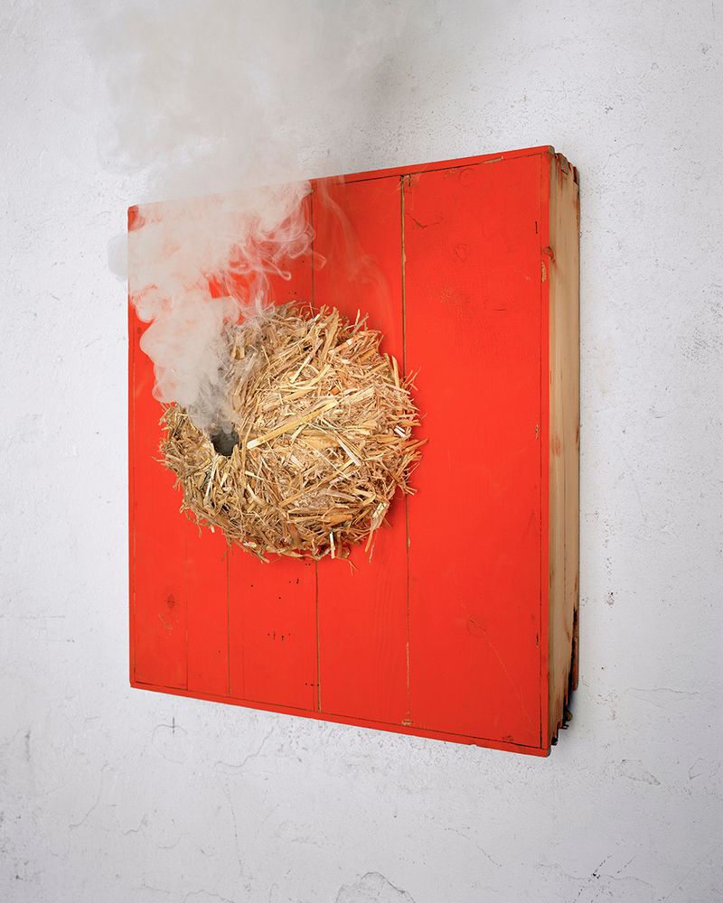 © Aladin Borioli - Image from the Apian photography project