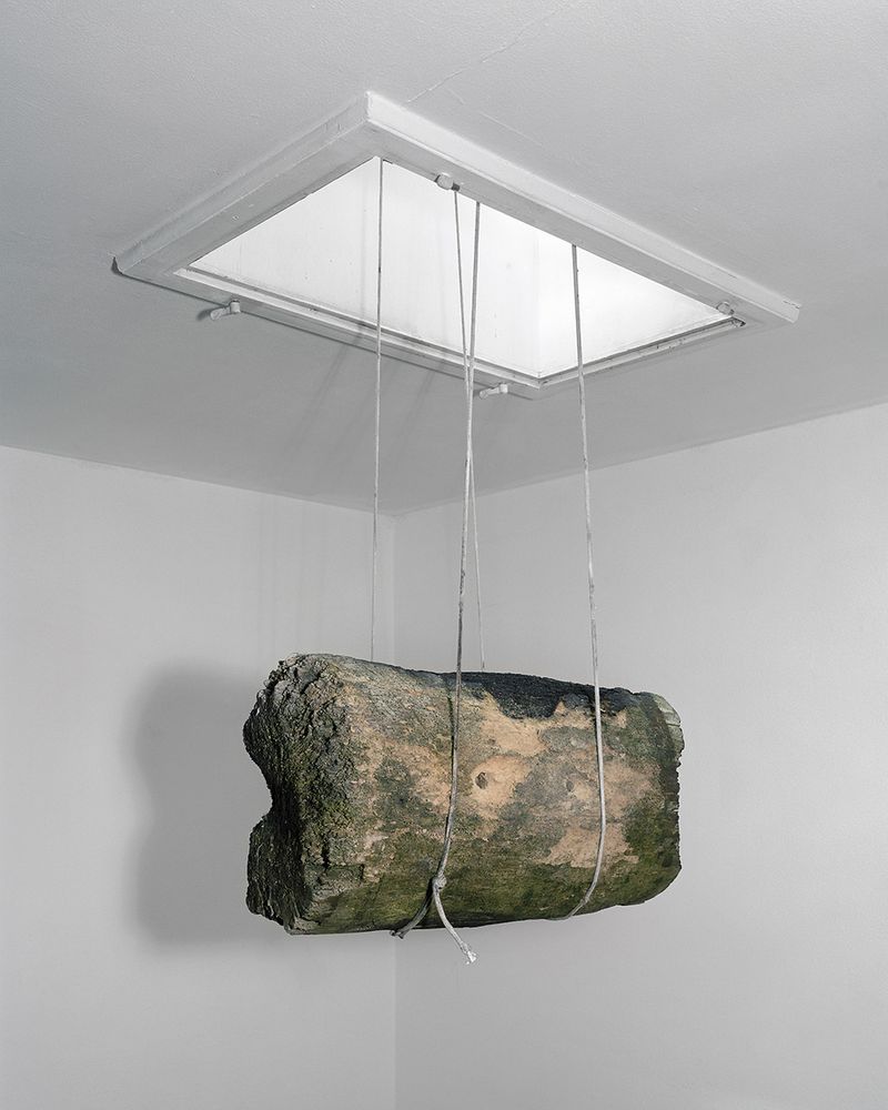 © Aladin Borioli - Image from the Apian photography project