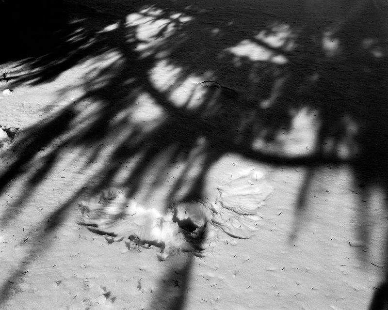 © Michelle Peters - Image from the Prick, Saccharine, Shatter photography project