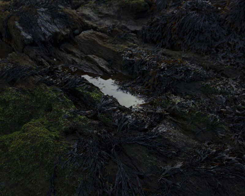 © Michelle Peters - Image from the Prick, Saccharine, Shatter photography project
