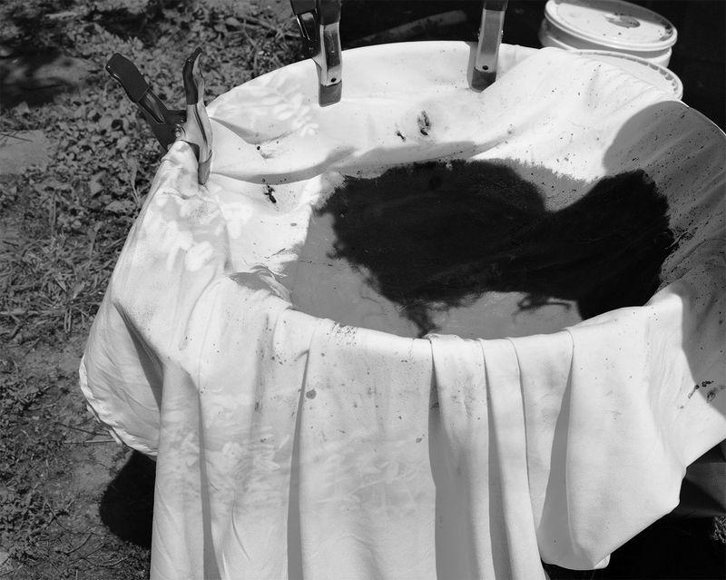 © Michelle Peters - Image from the Prick, Saccharine, Shatter photography project
