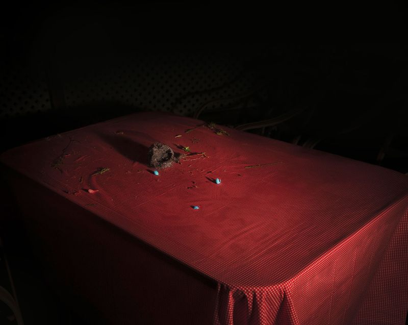 © Michelle Peters - Image from the Prick, Saccharine, Shatter photography project