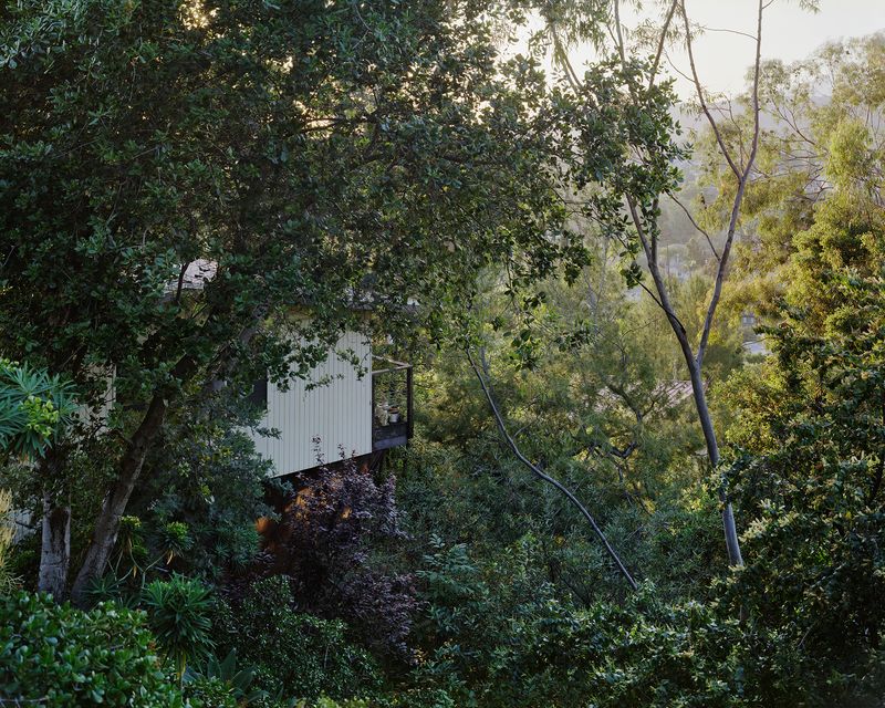 © Paloma Dooley - Glen Arbor Peeking Home