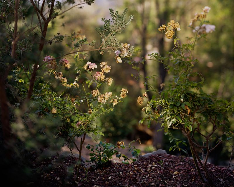 © Paloma Dooley - Image from the On Hills photography project
