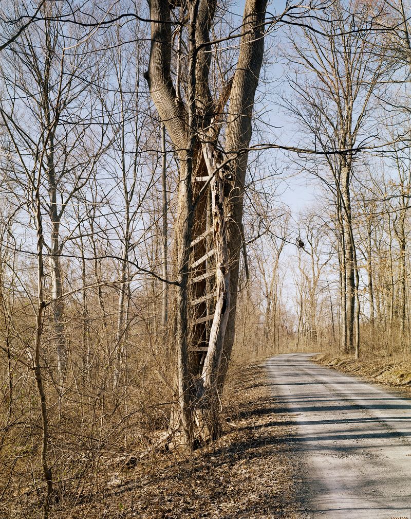 © Paloma Dooley - Image from the Ground Control photography project