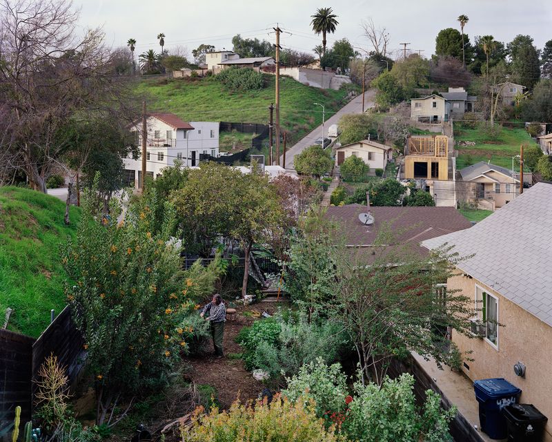 © Paloma Dooley - Alika Tending