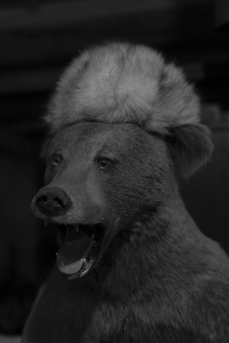 © Katya Yanova - Image from the fill line photography project