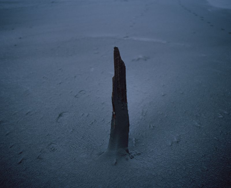 © Ludwig Nikulski - Image from the Opal photography project