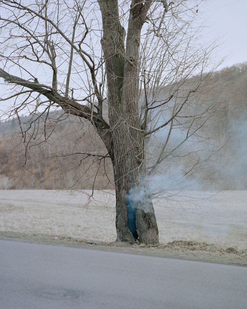 © Ludwig Nikulski - Image from the Under the Palm Trees photography project