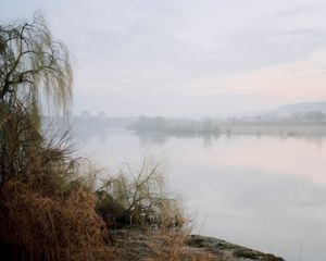 Under the Palm Trees