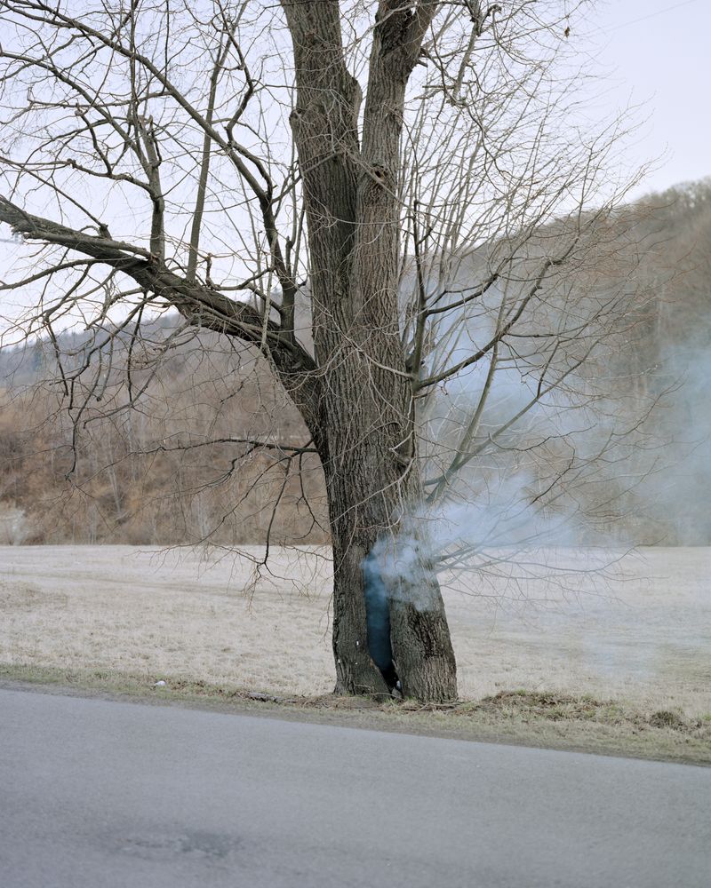 © Ludwig Nikulski - Image from the Under the Palm Trees photography project