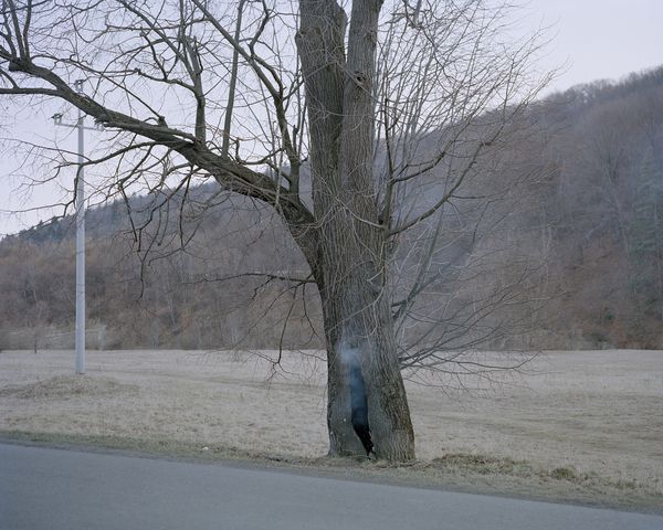 © Ludwig Nikulski - Burning tree. Huwniki, Poland. March 2022.