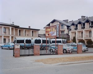 Of Plastic Palms and Mistletoes