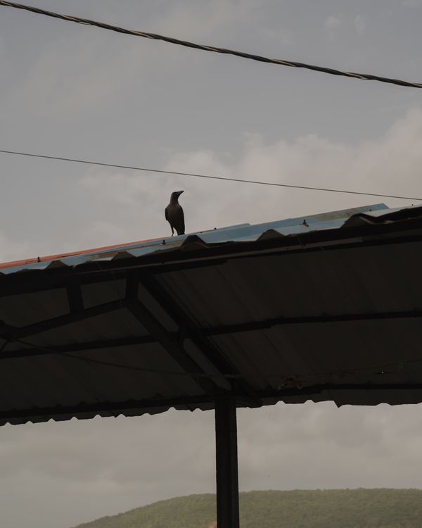 © Pratik Khatri - Image from the Waiting and Waltzing photography project